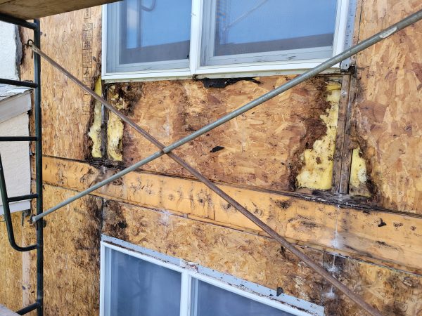 Stucco Remediation Services